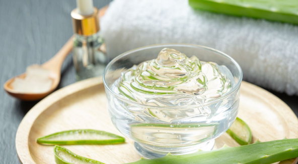 Aloe Vera: Faydaları ve Kullanımı